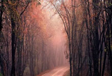 2022年世界杯比分将是怎样？