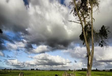 2012年NBA总决赛G5发生了什么?经典回放带你重温热血巅峰对决